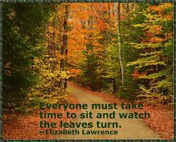 Quote of the Day – October 7, 2018 – cup of tea with that book, please
