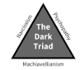 The Dark Triad and Mental Toughness